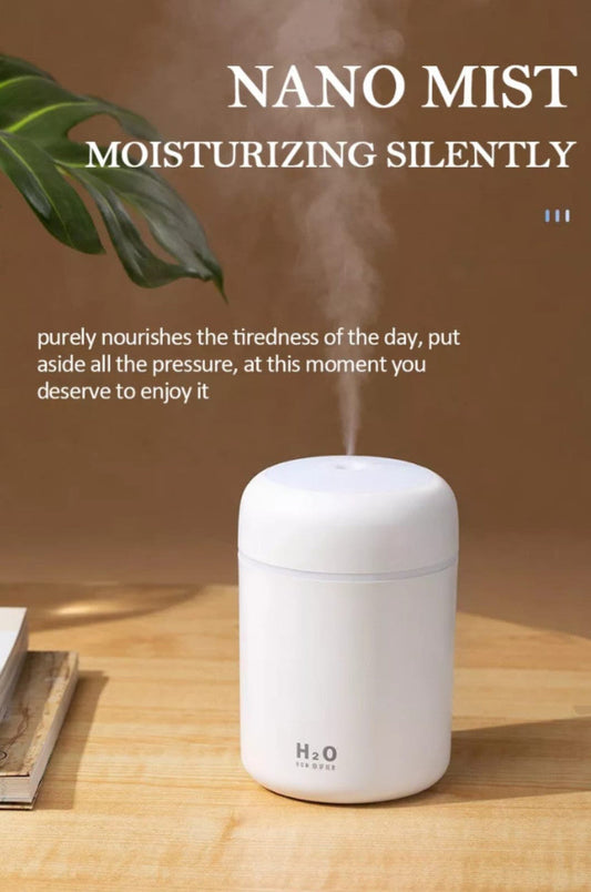 H2O Humidifier Aroma Diffuser